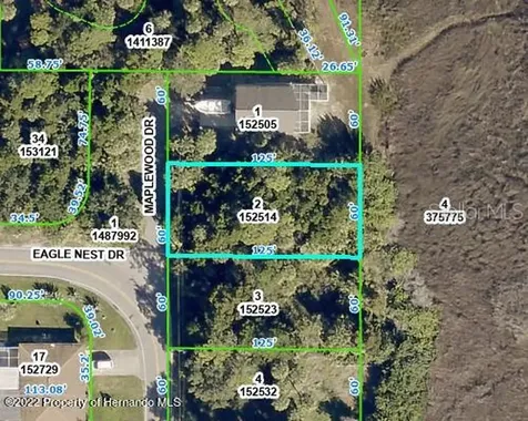 5082 Maplewood Drive Hernando Beach FL 34607