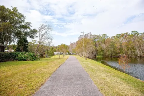 15625 Morning Drive Lutz FL 33559
