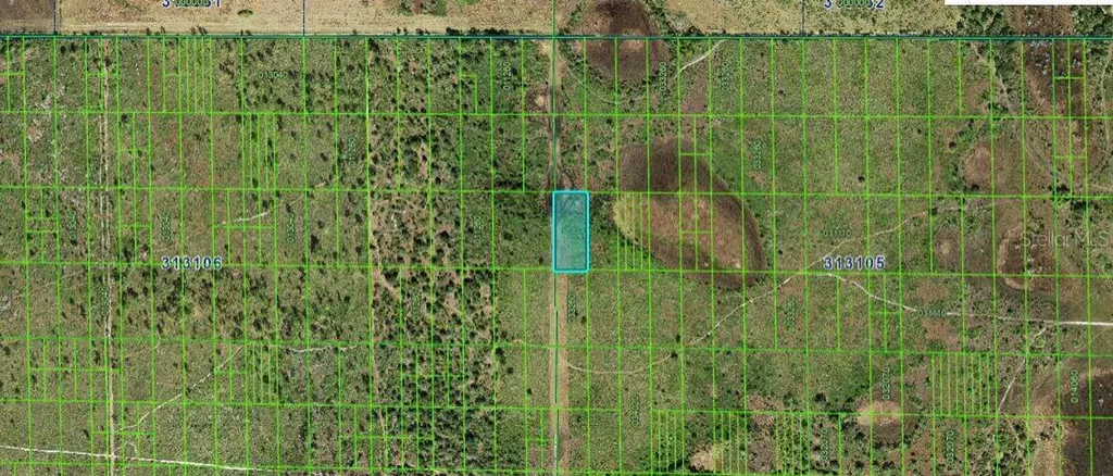 Shady Oaks Drive Lake Wales FL 33898