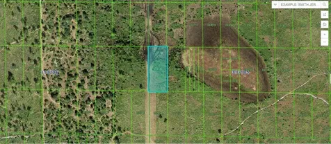 Shady Oaks Drive Lake Wales FL 33898