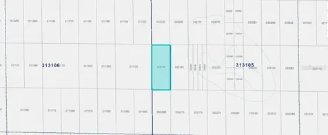 Shady Oaks Drive Lake Wales FL 33898