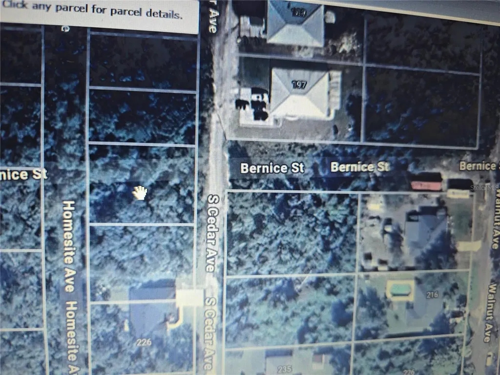 S Cedar Avenue Orange City FL 32763
