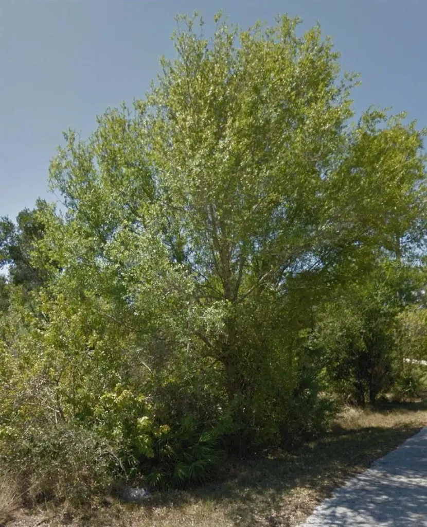 23509 Branch Avenue Punta Gorda FL 33980