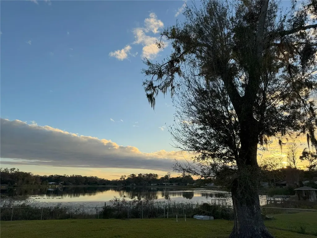 3922 Lake Joyce Drive Land O Lakes FL 34639
