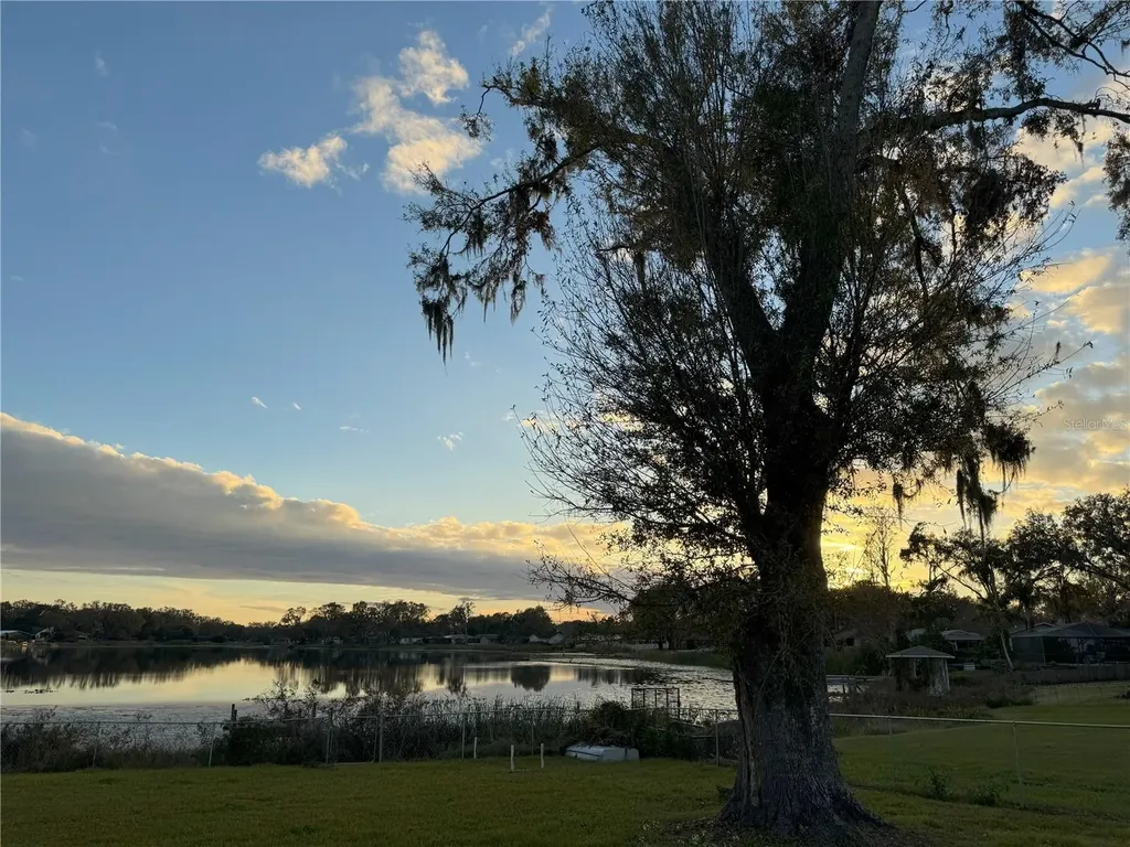 3922 Lake Joyce Drive Land O Lakes FL 34639