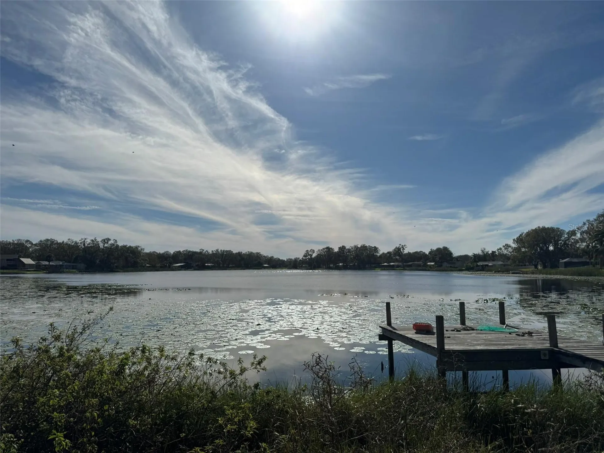 3922 Lake Joyce Drive Land O Lakes FL 34639