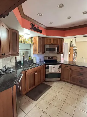 3922 Lake Joyce Drive Land O Lakes FL 34639