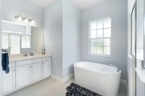 13930 Old Creek Court Parrish FL 34219