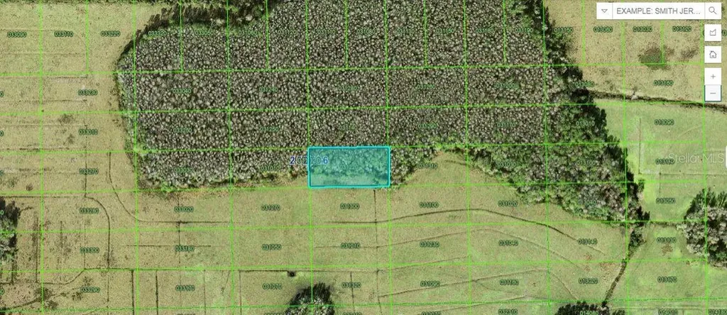 Green Pond Road Polk City FL 33868