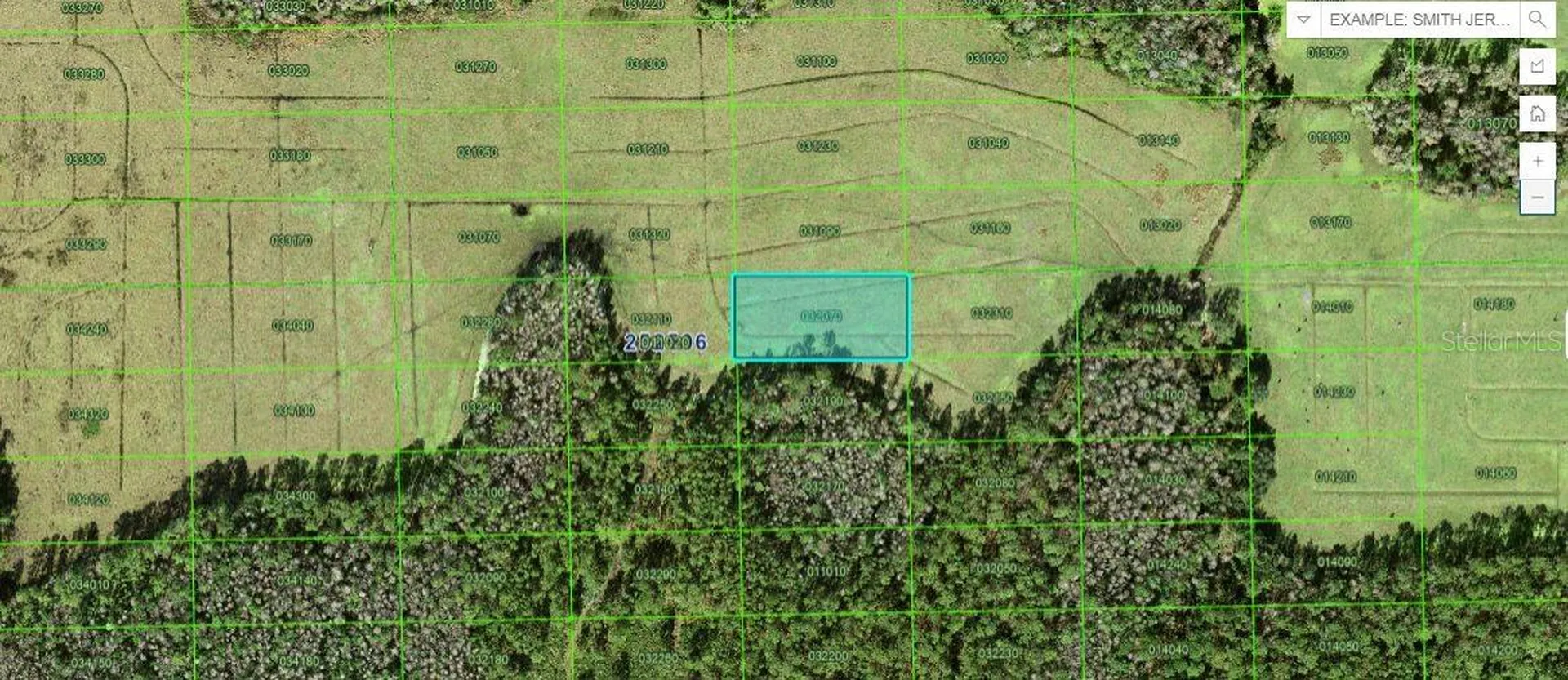 Green Pond Road Polk City FL 33868