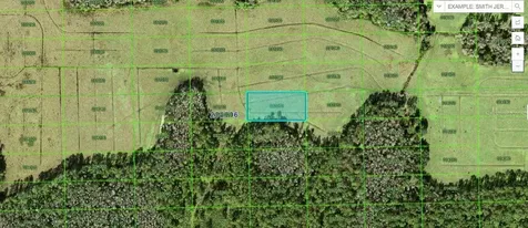 Green Pond Road Polk City FL 33868