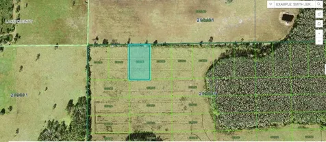 Green Pond Road Polk City FL 33868