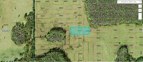 Green Pond Road Polk City FL 33868