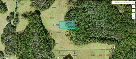 Green Pond Road Polk City FL 33868