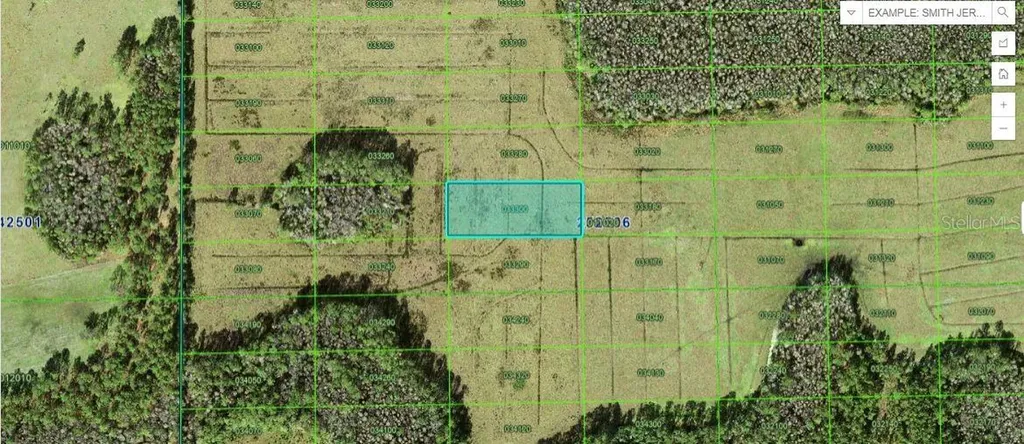 Green Pond Road Polk City FL 33868
