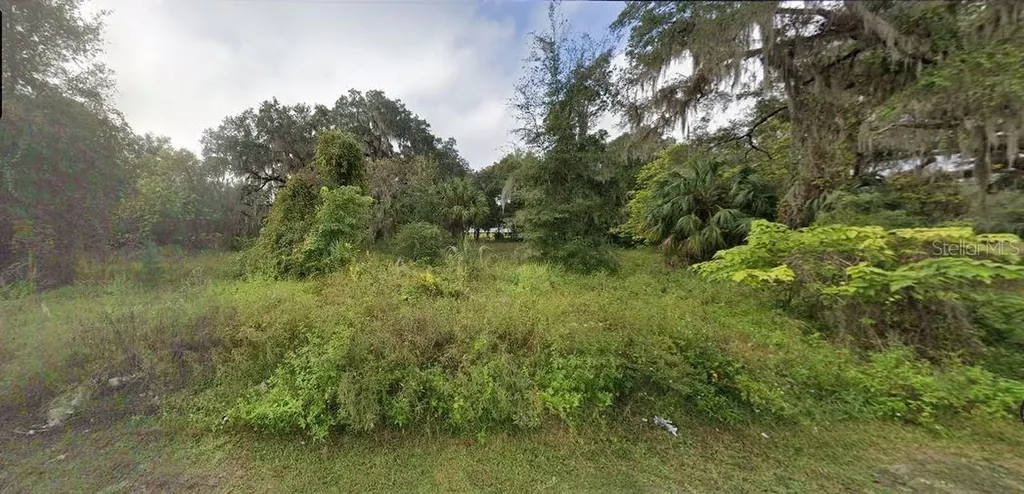 302 SE 65th Avenue Hawthorne FL 32640