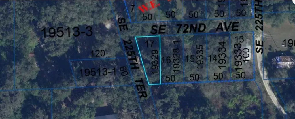 302 SE 65th Avenue Hawthorne FL 32640