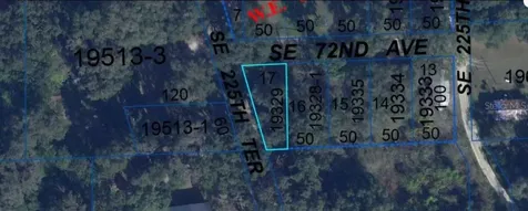 302 SE 65th Avenue Hawthorne FL 32640