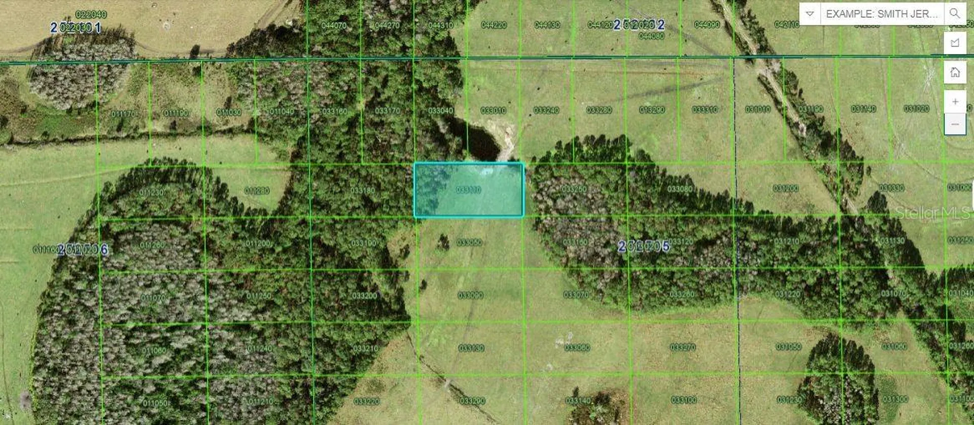 Green Pond Road Polk City FL 33868