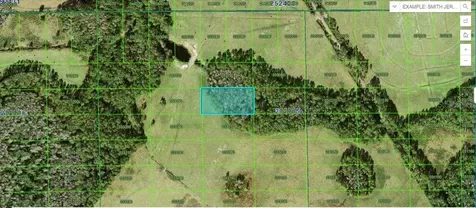 Green Pond Road Polk City FL 33868