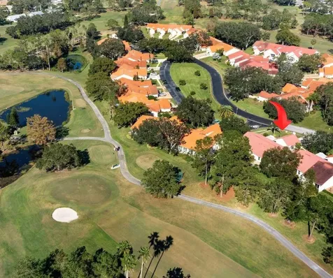 1120 Tartan Drive Palm Harbor FL 34684