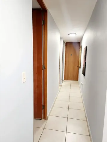 234 Zumbador Rio Grande PR 00745
