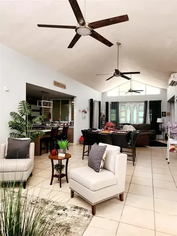 234 Zumbador Rio Grande PR 00745