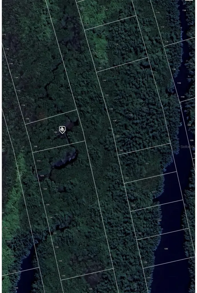 1204 Malaluka Court Punta Gorda FL 33983