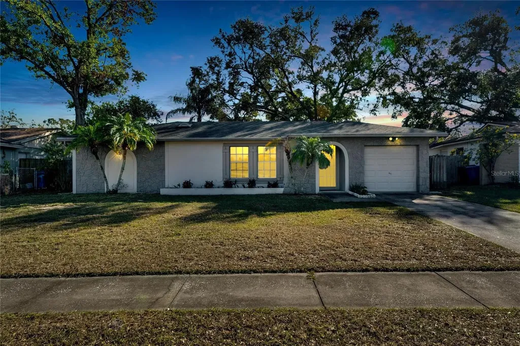2211 Whitney Place Valrico FL 33594