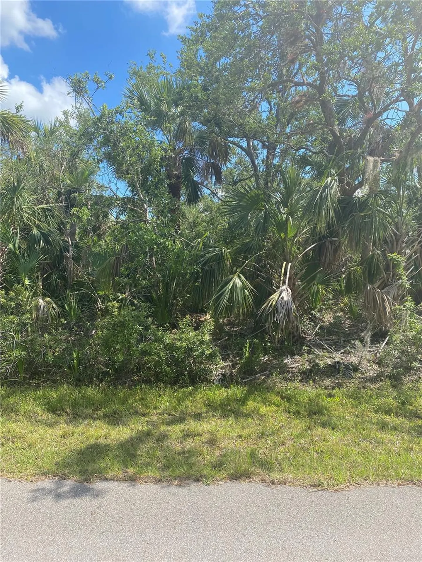 27319 Chinquapin Drive Punta Gorda FL 33955