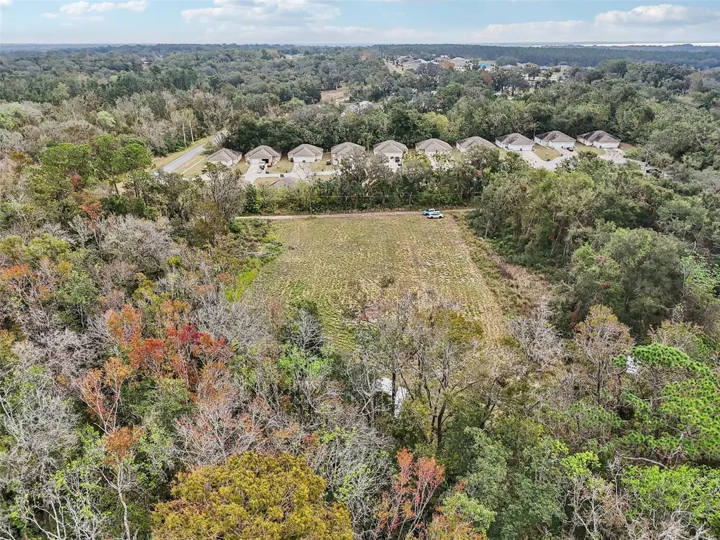 Morrison Road Leesburg FL 34748