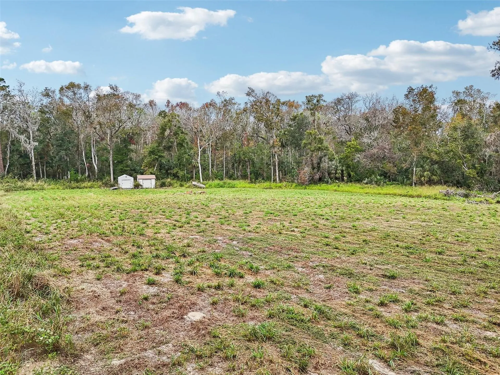 Morrison Road Leesburg FL 34748