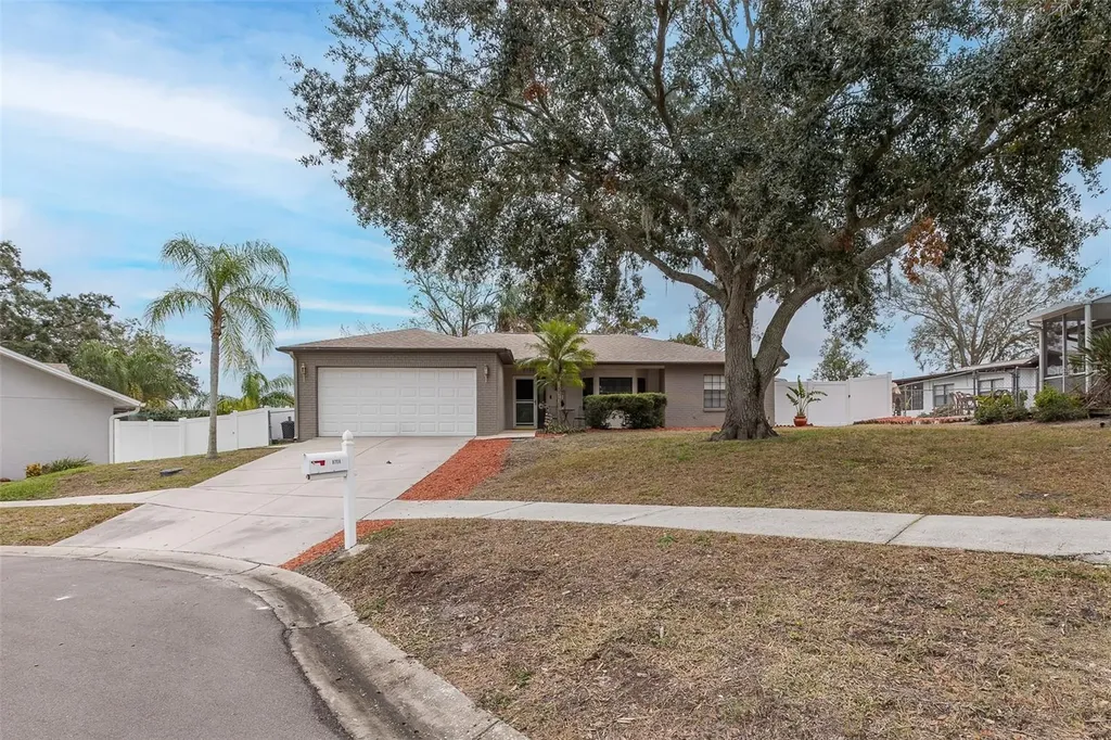 8708 Woodlawn Court Port Richey FL 34668