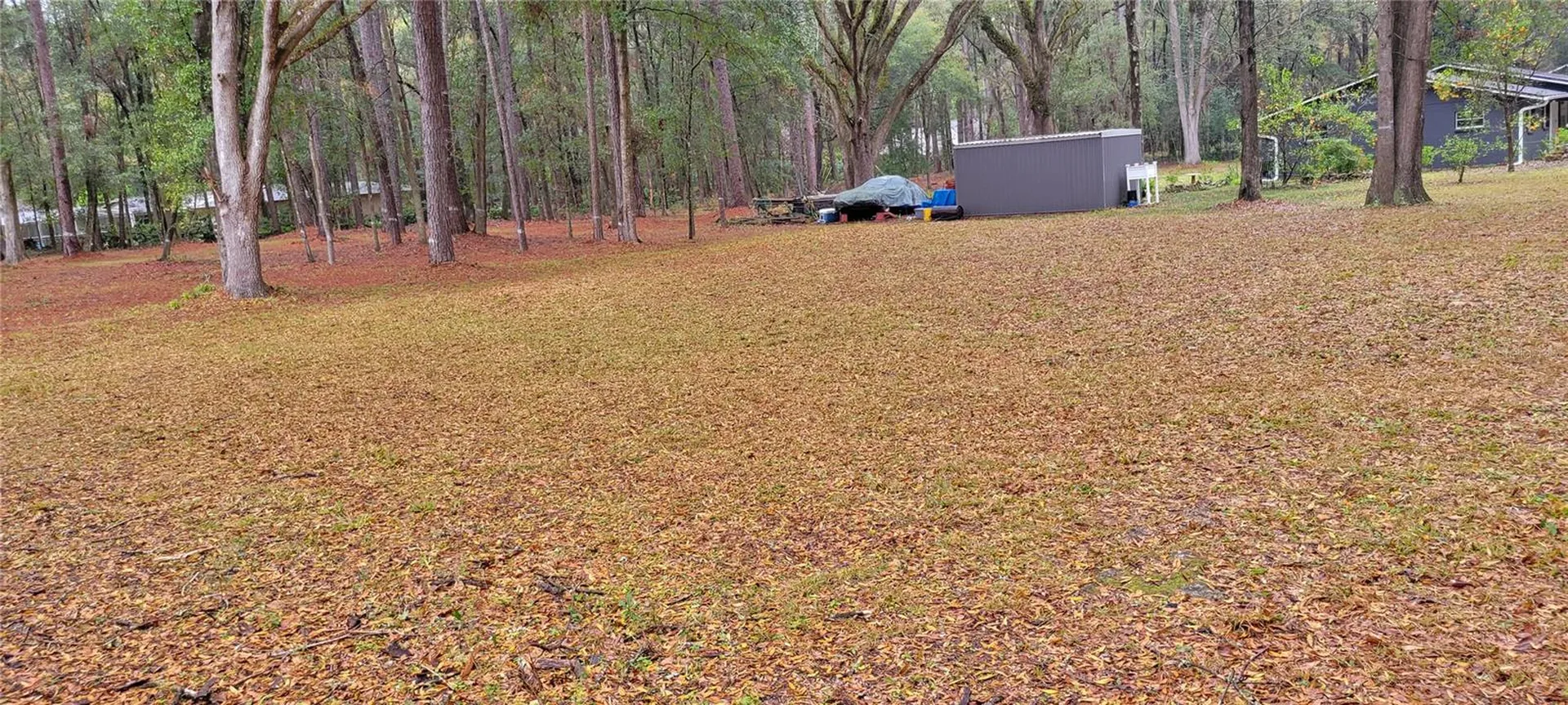 1260 SW 91st Street Gainesville FL 32608