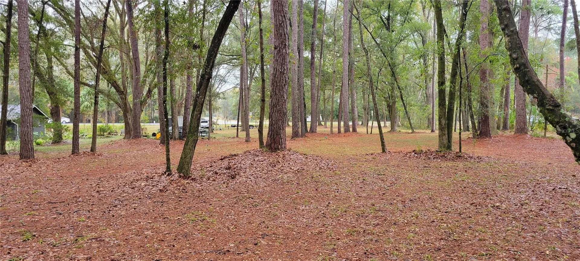 1260 SW 91st Street Gainesville FL 32608