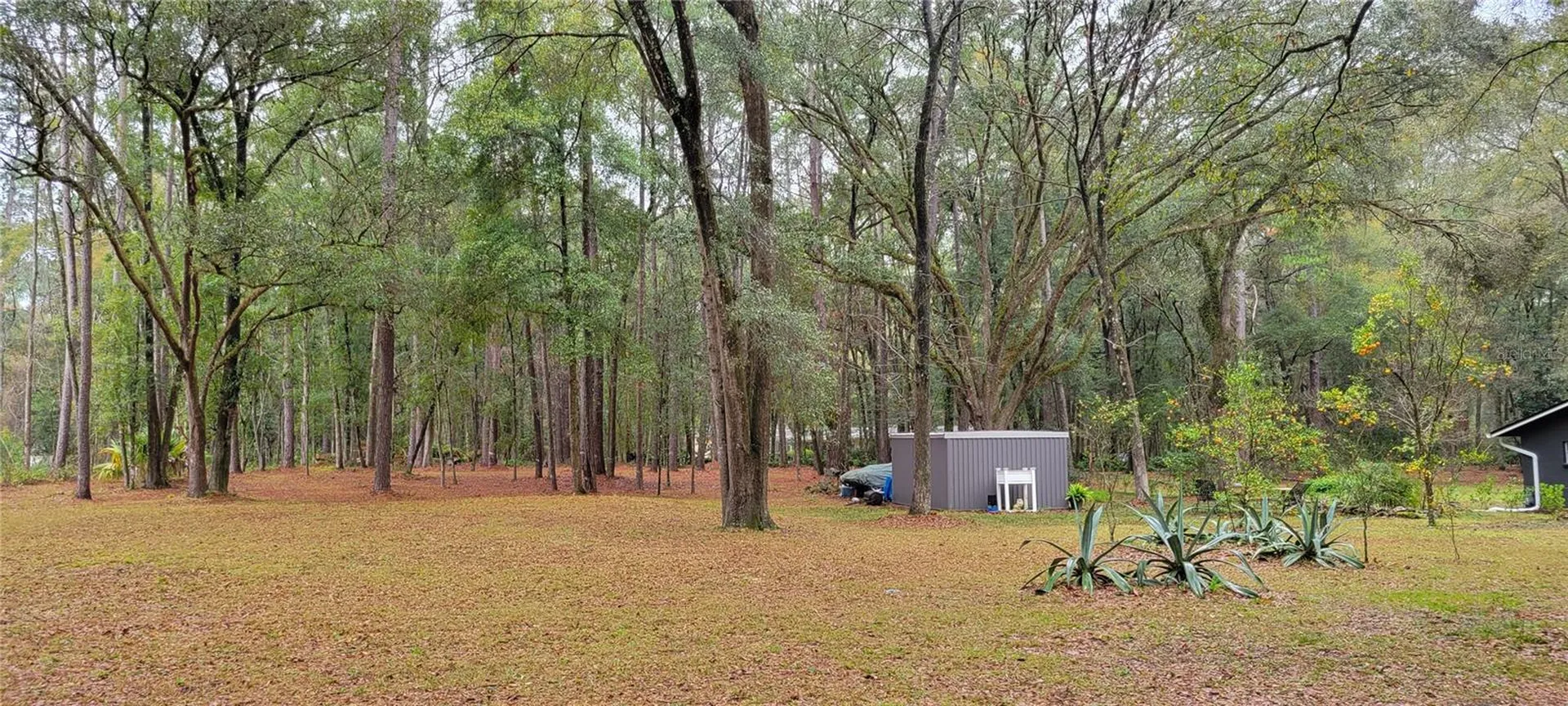 1260 SW 91st Street Gainesville FL 32608