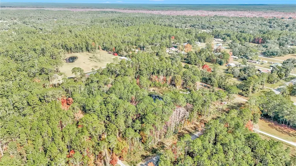 14497 E Highway 316 Fort Mc Coy FL 32134