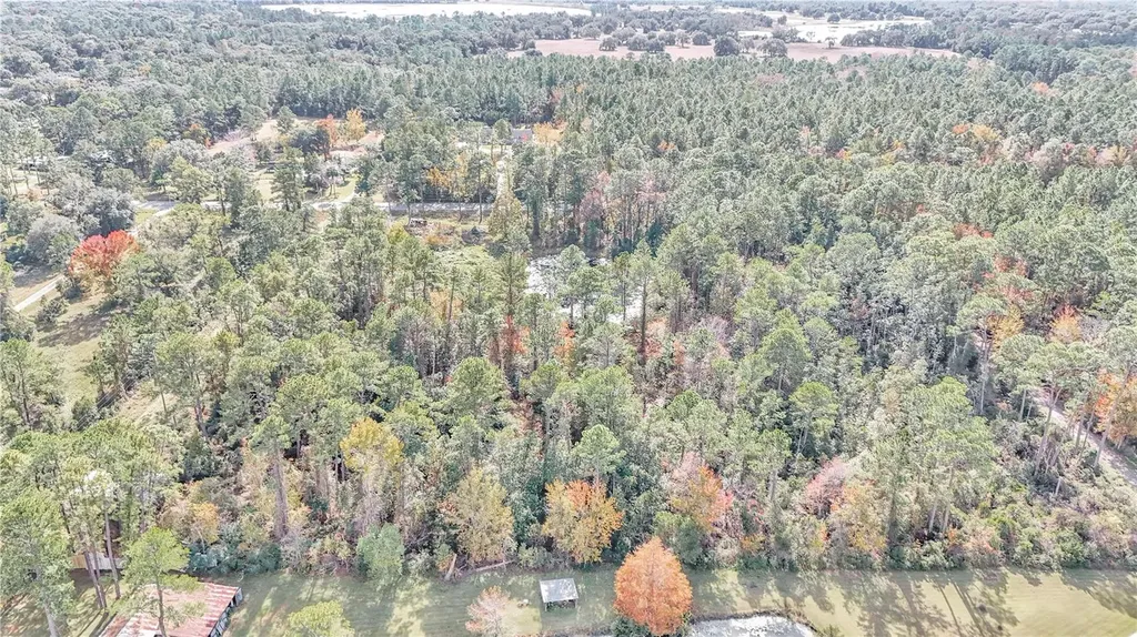 14497 E Highway 316 Fort Mc Coy FL 32134