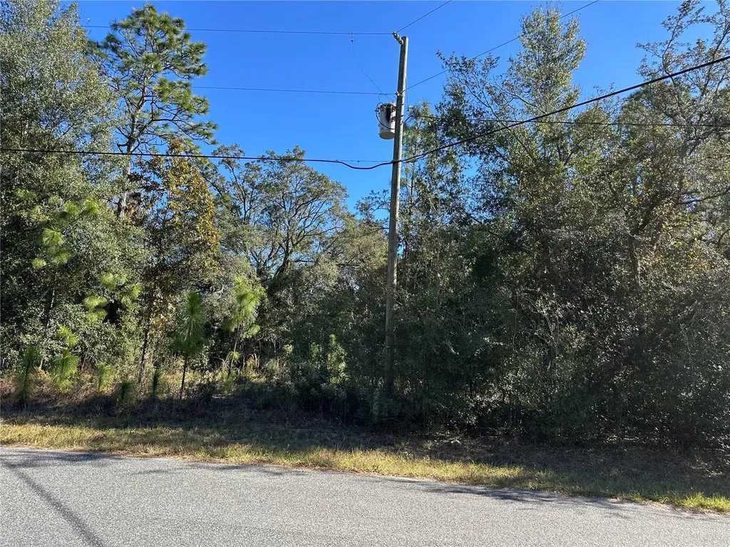 7991 N Tiny Lily Drive Citrus Springs FL 34434