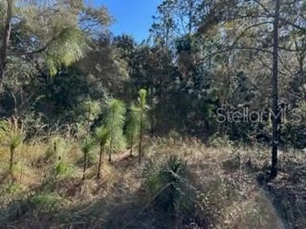 7991 N Tiny Lily Drive Citrus Springs FL 34434