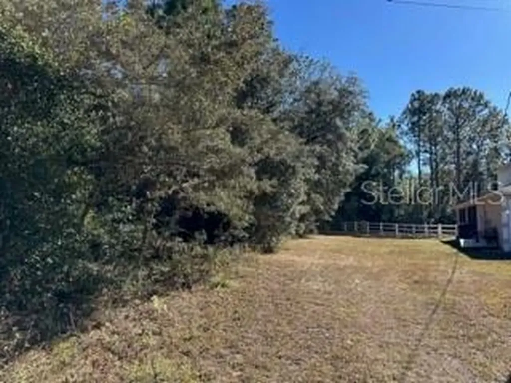7991 N Tiny Lily Drive Citrus Springs FL 34434