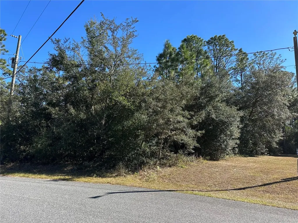 7991 N Tiny Lily Drive Citrus Springs FL 34434