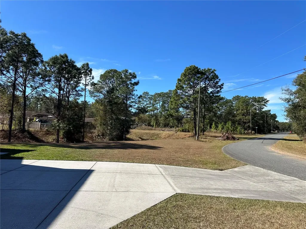 7991 N Tiny Lily Drive Citrus Springs FL 34434