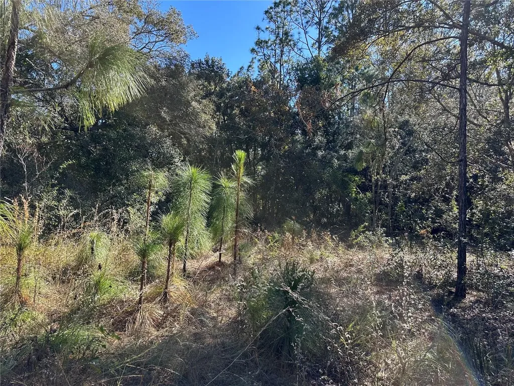 7991 N Tiny Lily Drive Citrus Springs FL 34434