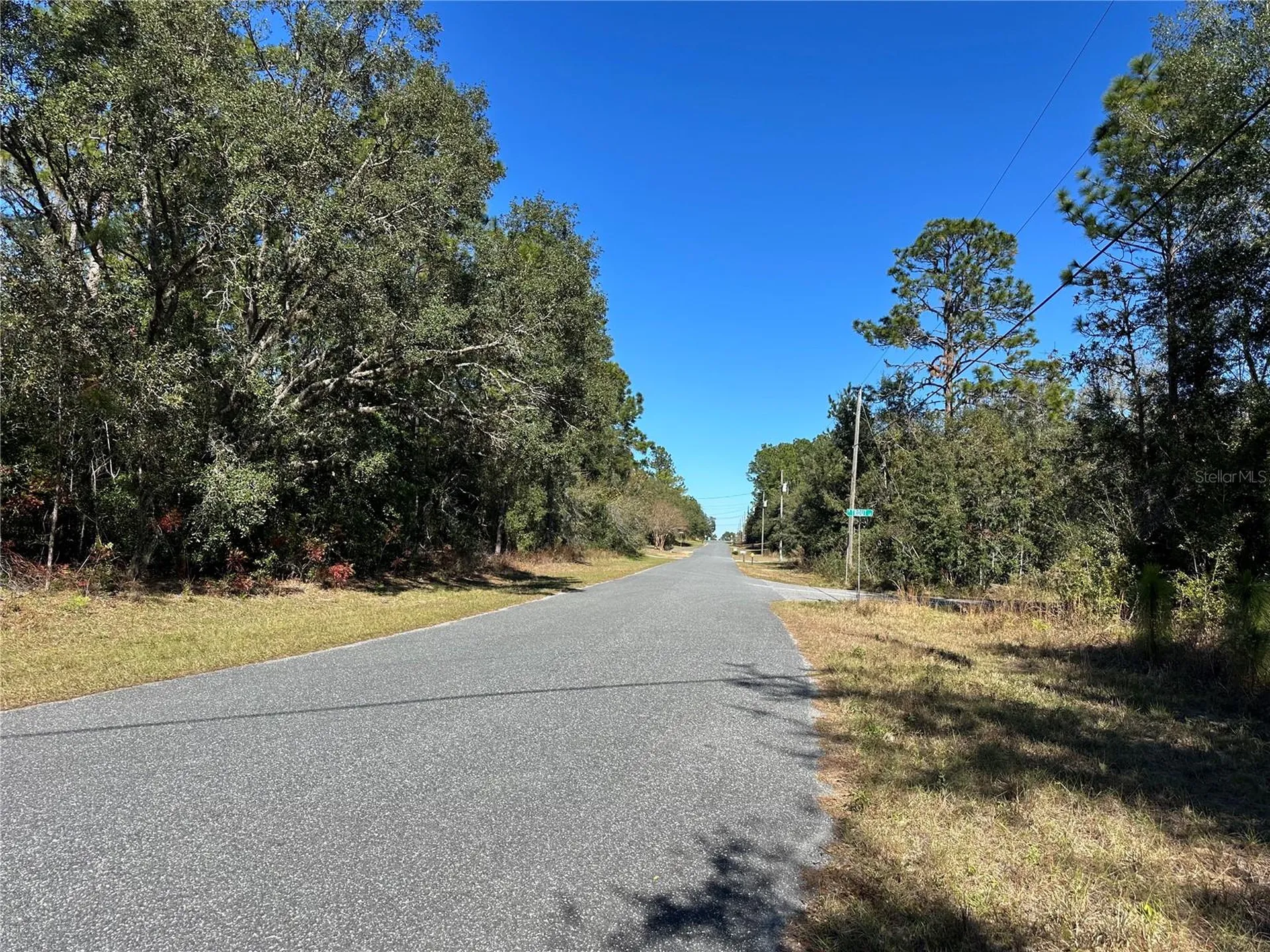 7991 N Tiny Lily Drive Citrus Springs FL 34434