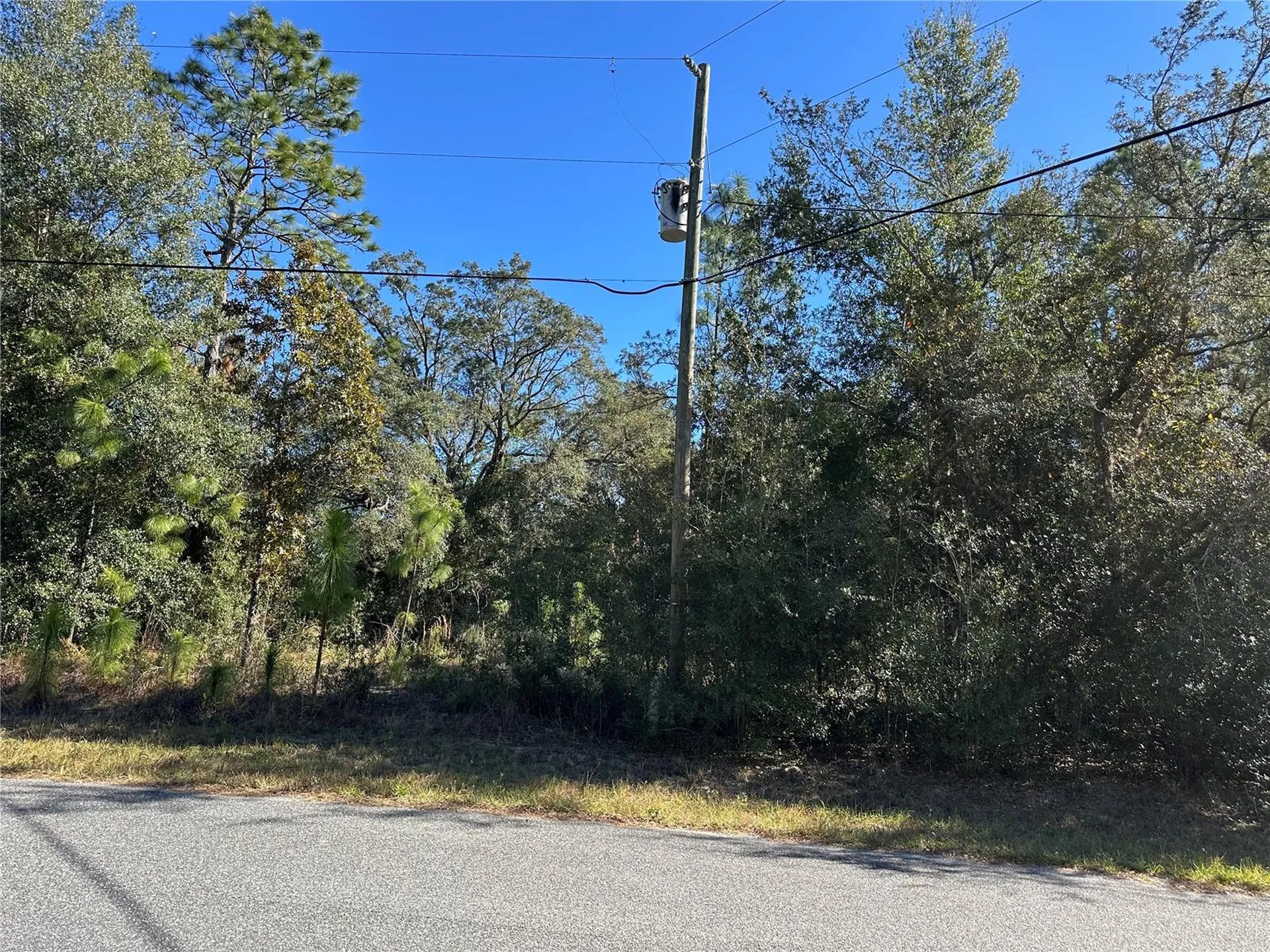 7991 N Tiny Lily Drive Citrus Springs FL 34434