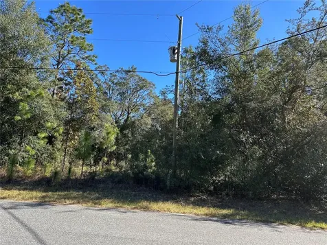 7991 N Tiny Lily Drive Citrus Springs FL 34434