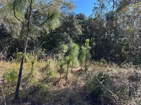 7991 N Tiny Lily Drive Citrus Springs FL 34434