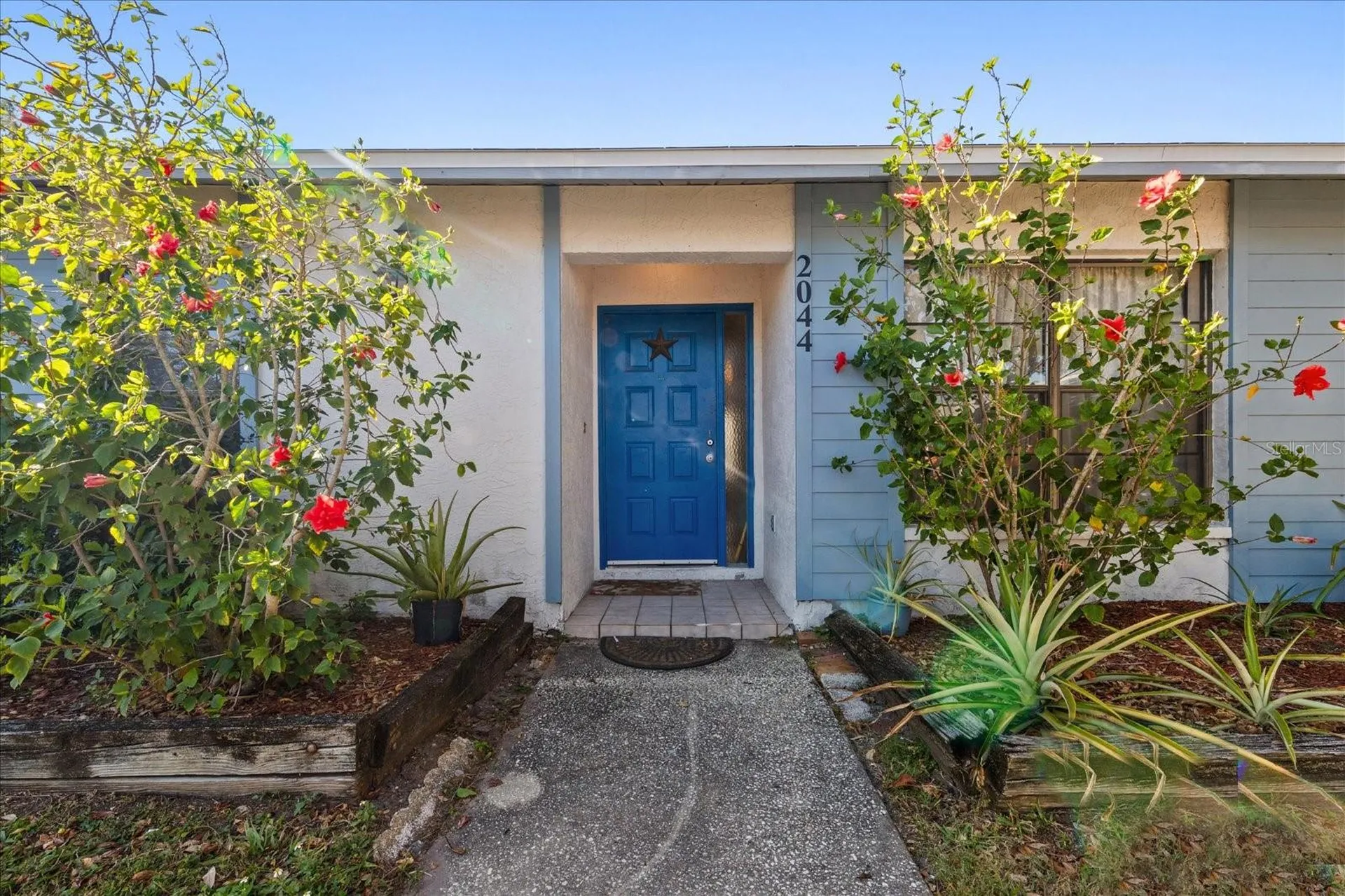 2044 Sheffield Court Oldsmar FL 34677