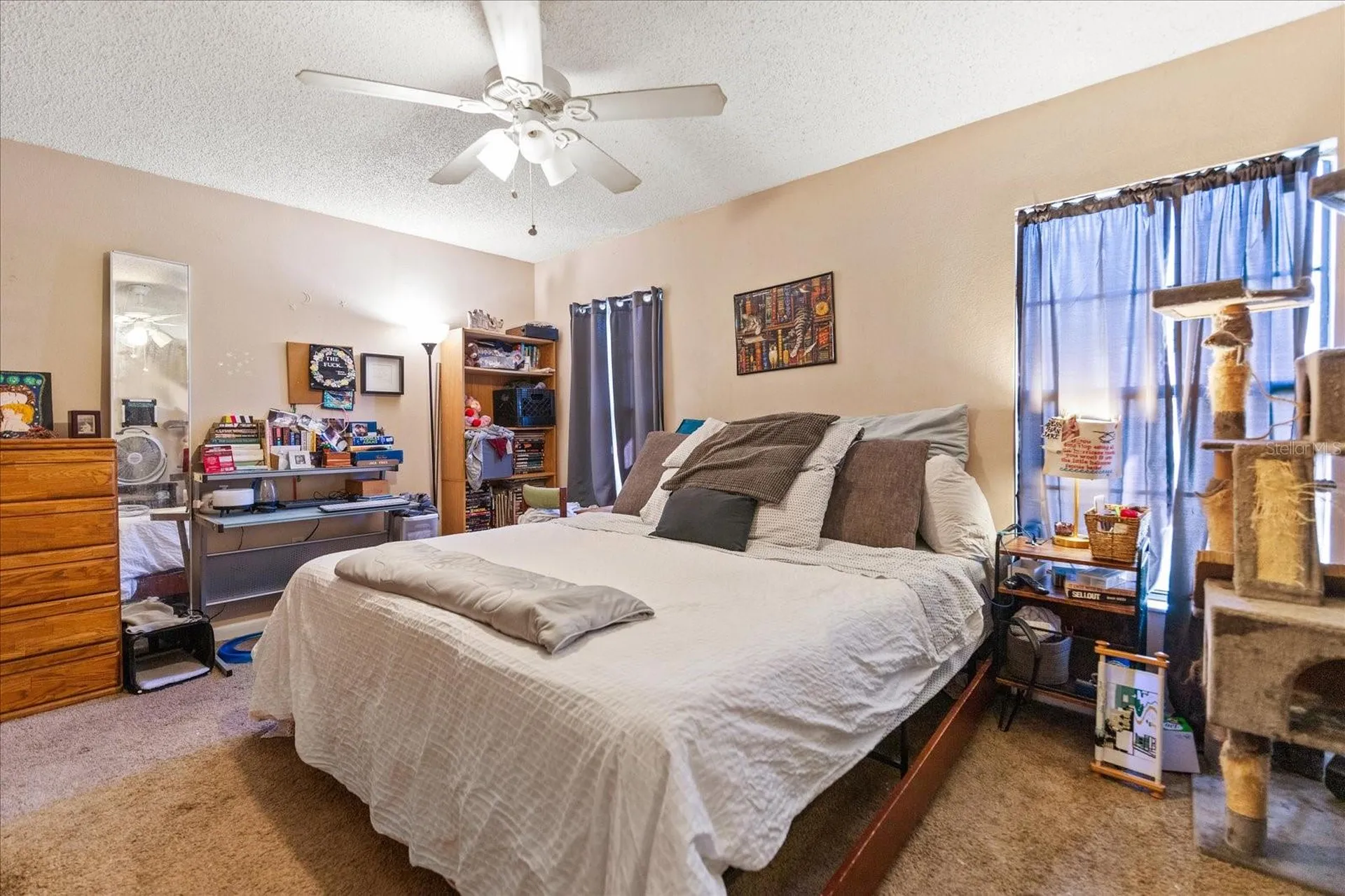 2044 Sheffield Court Oldsmar FL 34677
